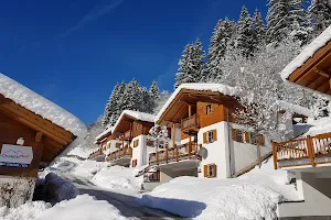 ChaletsPlus image