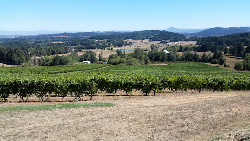 Winery «Sarver Winery», reviews and photos, 25600 Mayola Ln, Eugene, OR 97402, USA