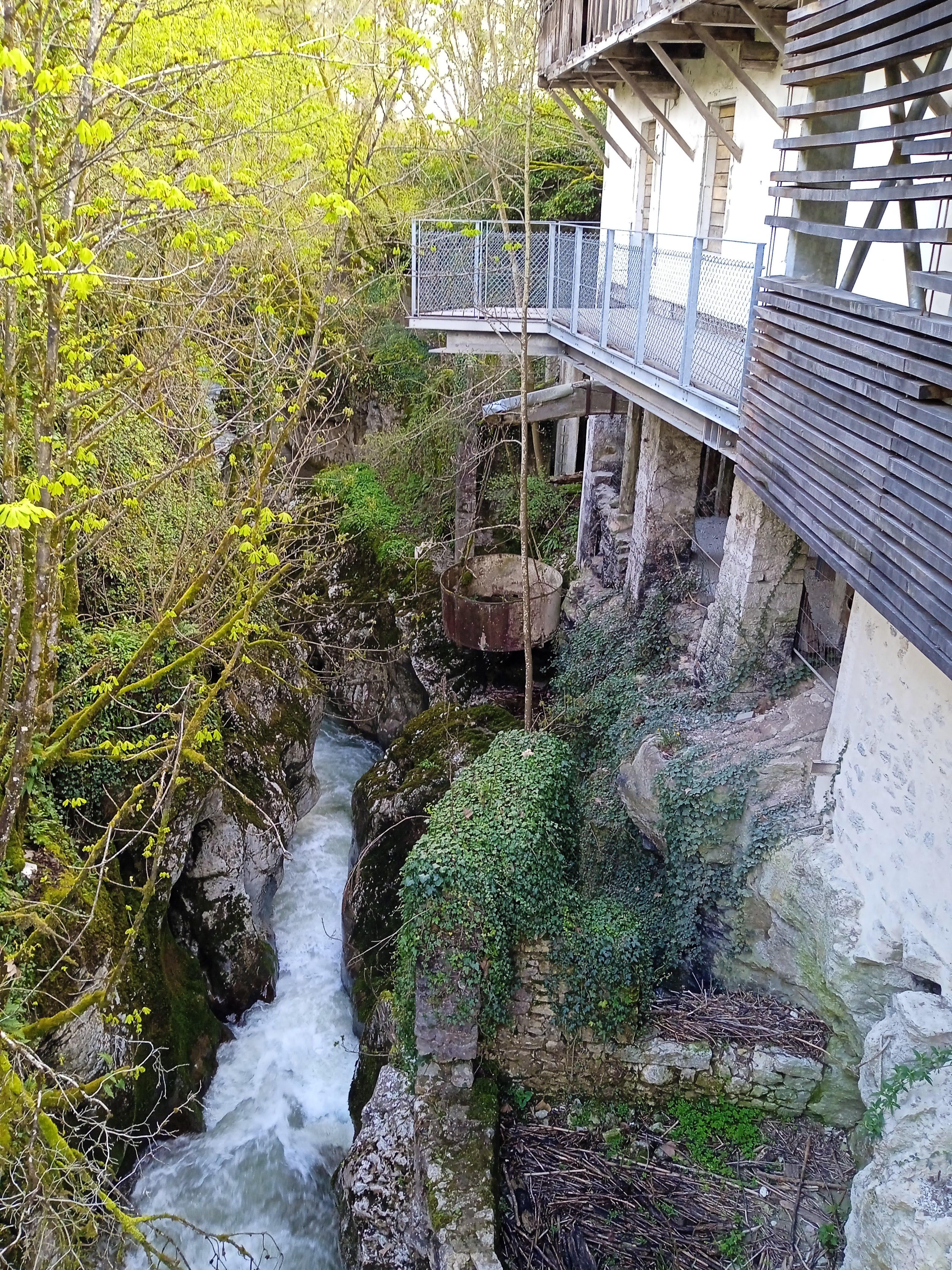 Photo n° 6 de l'avis de Patrick.e fait le 13/04/2023 à 17:34