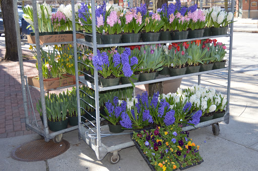 Florist «Station Florist», reviews and photos, 5 Babbitt Rd, Bedford Hills, NY 10507, USA