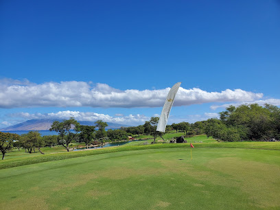 Maui School of Golf