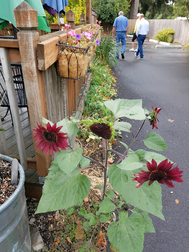 Cafe «The South Store Cafe», reviews and photos, 24485 SW Scholls Ferry Rd, Hillsboro, OR 97123, USA