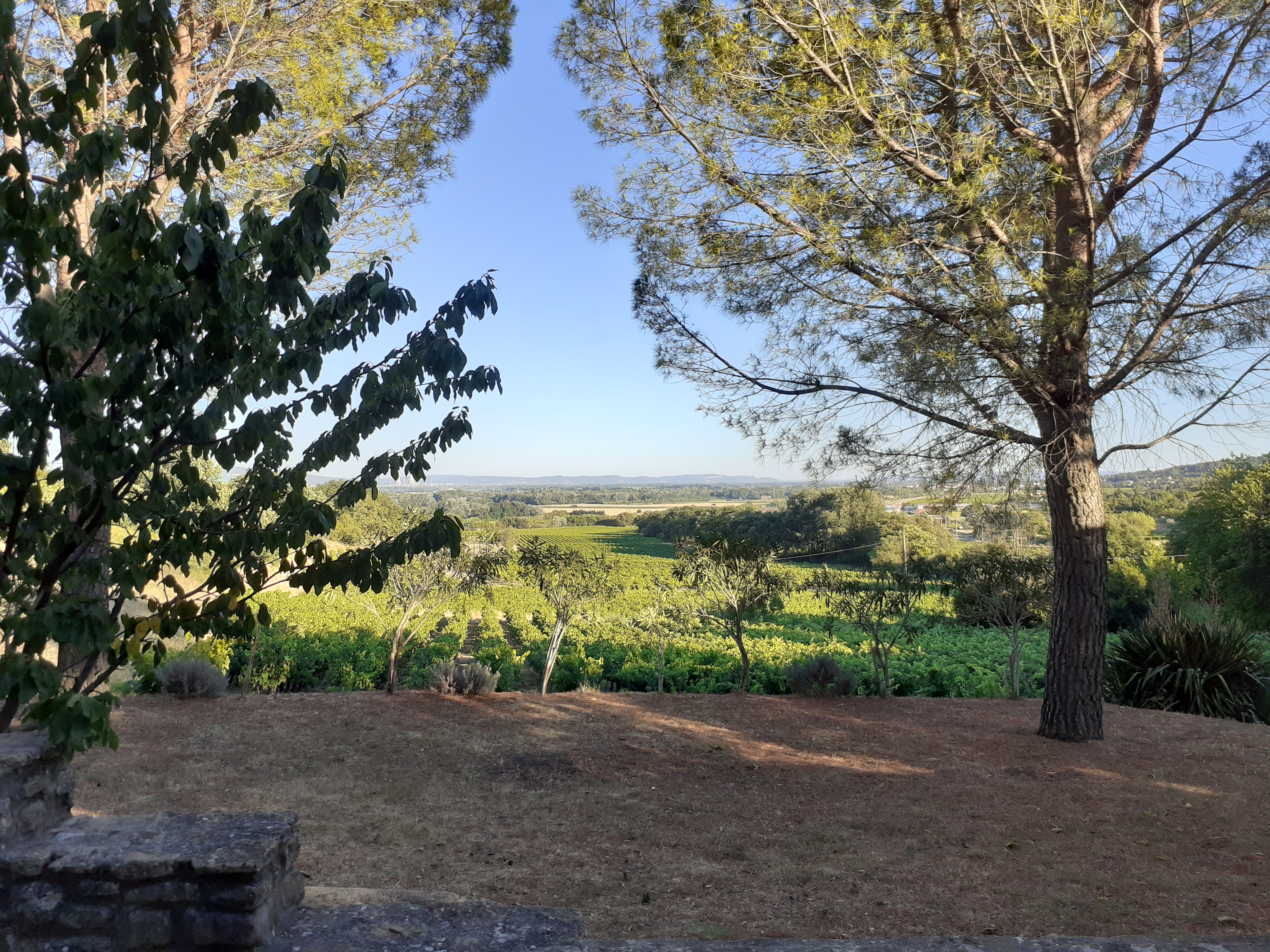 Photo n° 2 de l'avis de Béatrice.A fait le 07/07/2022 à 20:18