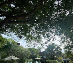 Bangsring Breeze photo