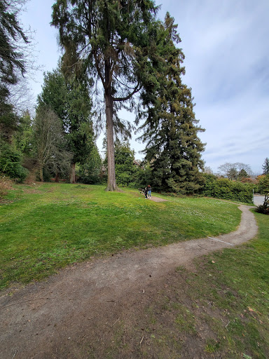 Park «Viretta Park», reviews and photos, 151 Lake Washington Blvd E, Seattle, WA 98112, USA