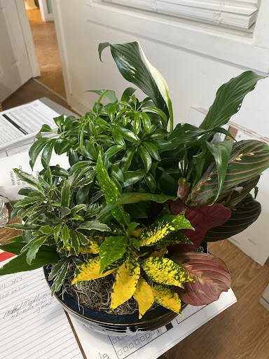 Florist «George Thomas Florist», reviews and photos, 5609 E Washington St, Indianapolis, IN 46219, USA