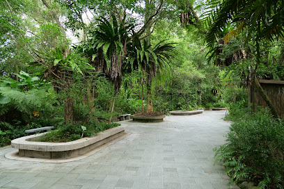 台北市立动物园蕨园