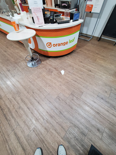 Ice Cream Shop «Orange Leaf Frozen Yogurt», reviews and photos, 119 SW Loop 410 #208, San Antonio, TX 78245, USA