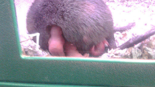 Pet Supply Store «Atlas Pet Supply», reviews and photos, 1798 Market Dr, Stillwater, MN 55082, USA