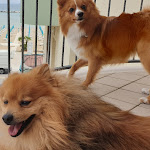 Photo n°9 de l'avis de Carmine.o fait le 09/08/2019 à 19:50 sur le  Hotel Silvana à Bellaria - Igea Marina