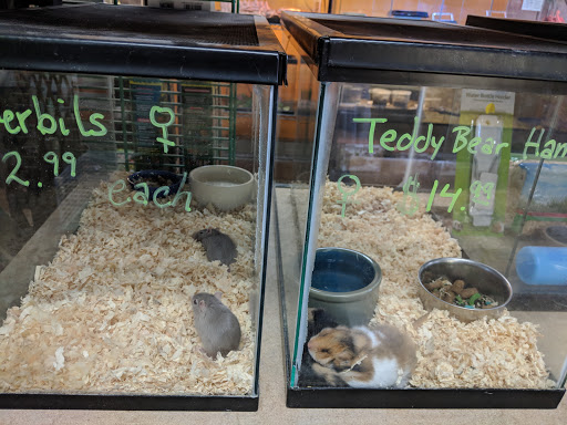Pet Store «Wildside Pets», reviews and photos, 1042 N Higley Rd #105, Mesa, AZ 85205, USA