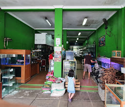 Duta Jaya Aquarium photo