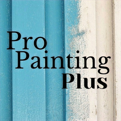 Pro Painting Plus