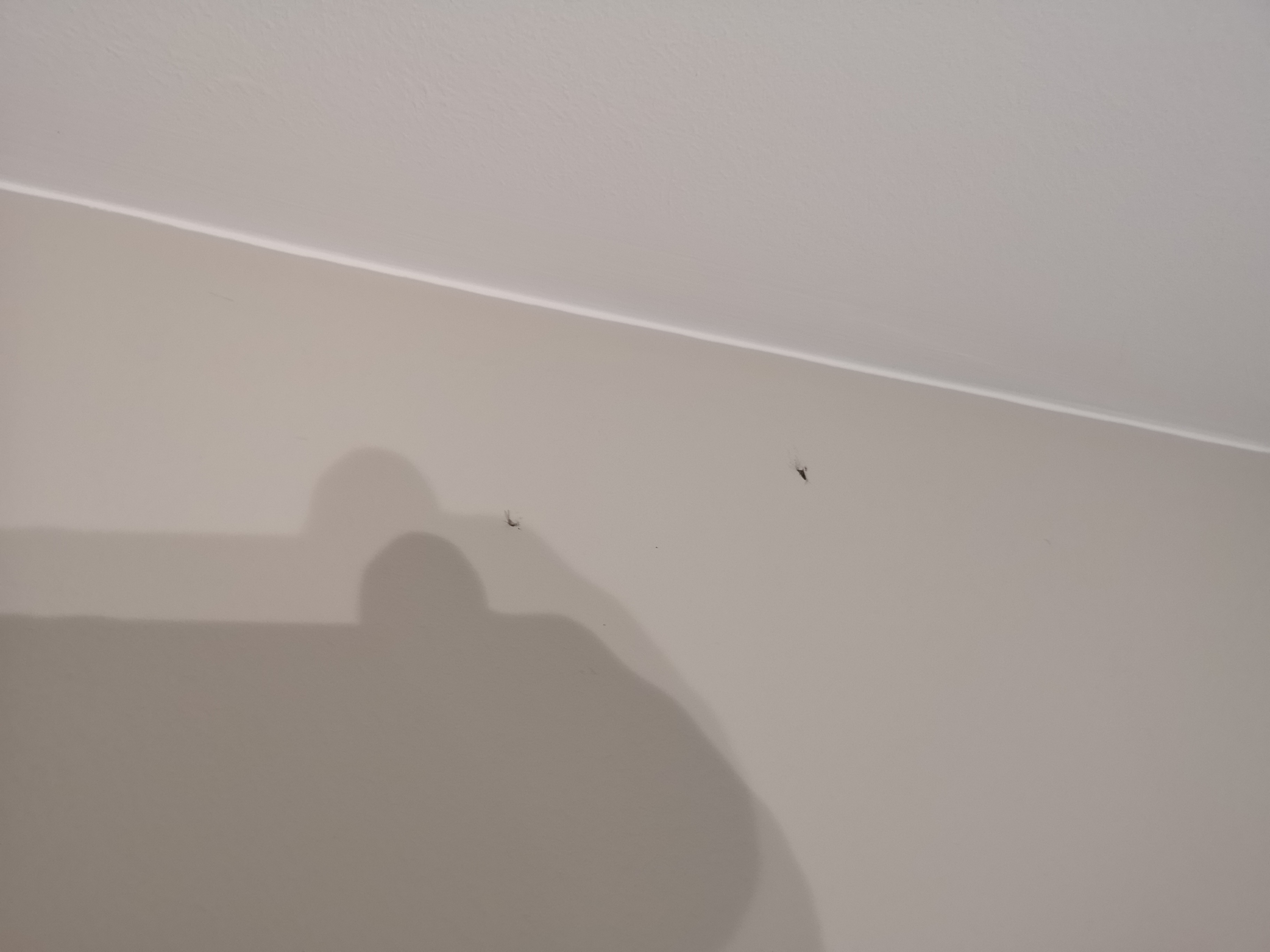 Photo n° 14 de l'avis de Amar. fait le 29/07/2018 à 19:00
