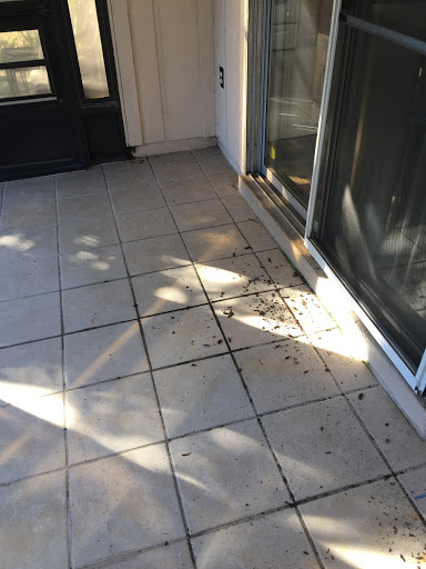 General Contractor «Fidus Roofing, Construction & Pavers», reviews and photos, 301 Kingsley Lake Dr #501, St Augustine, FL 32092, USA