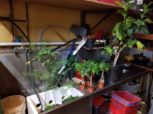 Asian Grocery Store «Asia Mart», reviews and photos, 2481 Guerneville Rd, Santa Rosa, CA 95403, USA