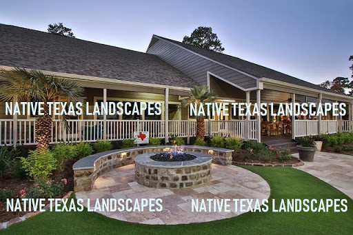 Native Texas Landscape