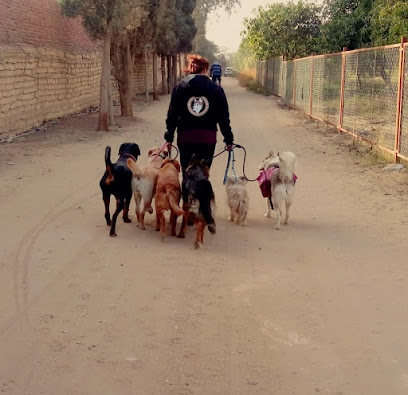 Doaa Elmwafy dog trainer