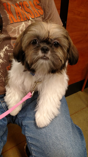 Pet Supply Store «PetSmart», reviews and photos, 640 W 300 N, Warsaw, IN 46582, USA