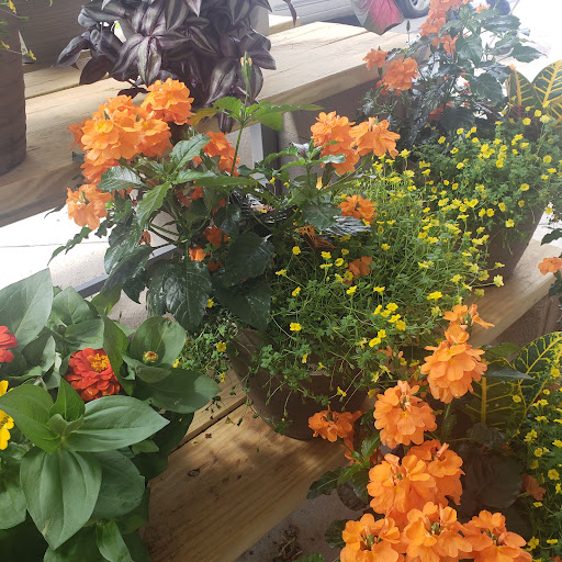 Grocery Store «Meijer», reviews and photos, 3911 US-22, Loveland, OH 45140, USA