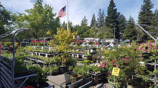 Hardware Store «Sebastopol Hardware Ctr», reviews and photos, 660 Gravenstein Hwy N, Sebastopol, CA 95472, USA