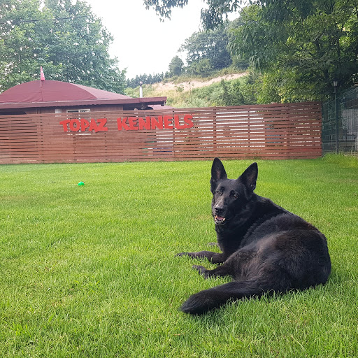 Royal Dog Club Kopek Egitim Merkezi Kopek Oteli Pansiyonu Polenezkoy Istanbul Beykoz Istanbul