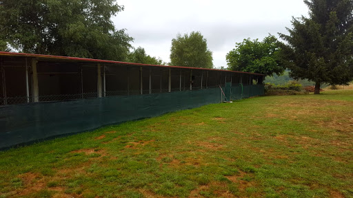 Residencia y Escuela Canina D.O.C CAN en Esgos, Ourense