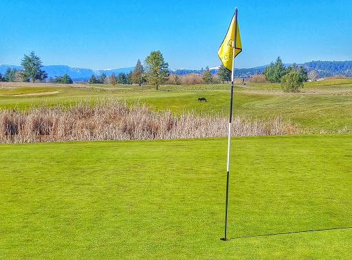 Golf Course «Quail Valley Golf Course», reviews and photos, 12565 NW Aerts Rd, Banks, OR 97106, USA