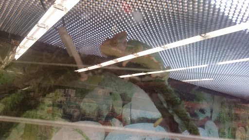 Pet Supply Store «Petco Animal Supplies», reviews and photos, 1145 N Hermitage Rd, Hermitage, PA 16148, USA