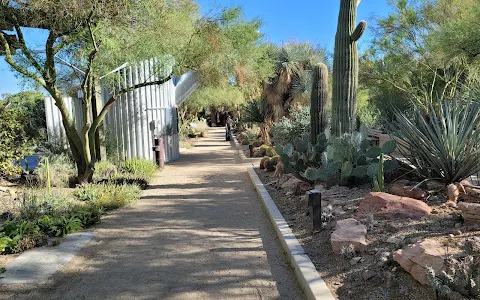 Botanical Garden at the Springs Preserve image
