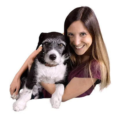 Hundephysiotherapie Baier