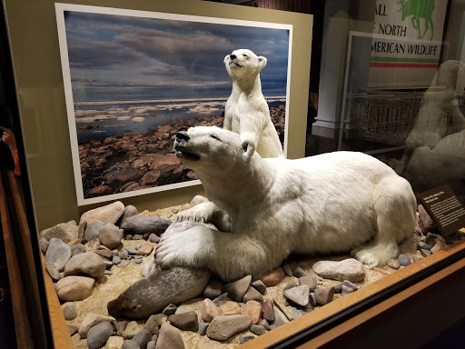 Art Museum «Carnegie Museum of Art», reviews and photos, 4400 Forbes Ave, Pittsburgh, PA 15213, USA