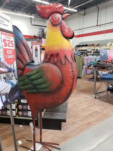 Home Improvement Store «Tractor Supply Co», reviews and photos, 1650 W Princeton Dr, Princeton, TX 75407, USA