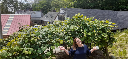 Winery «Gilmanton Winery and Restaurant», reviews and photos, 528 Meadow Pond Rd, Gilmanton, NH 03237, USA