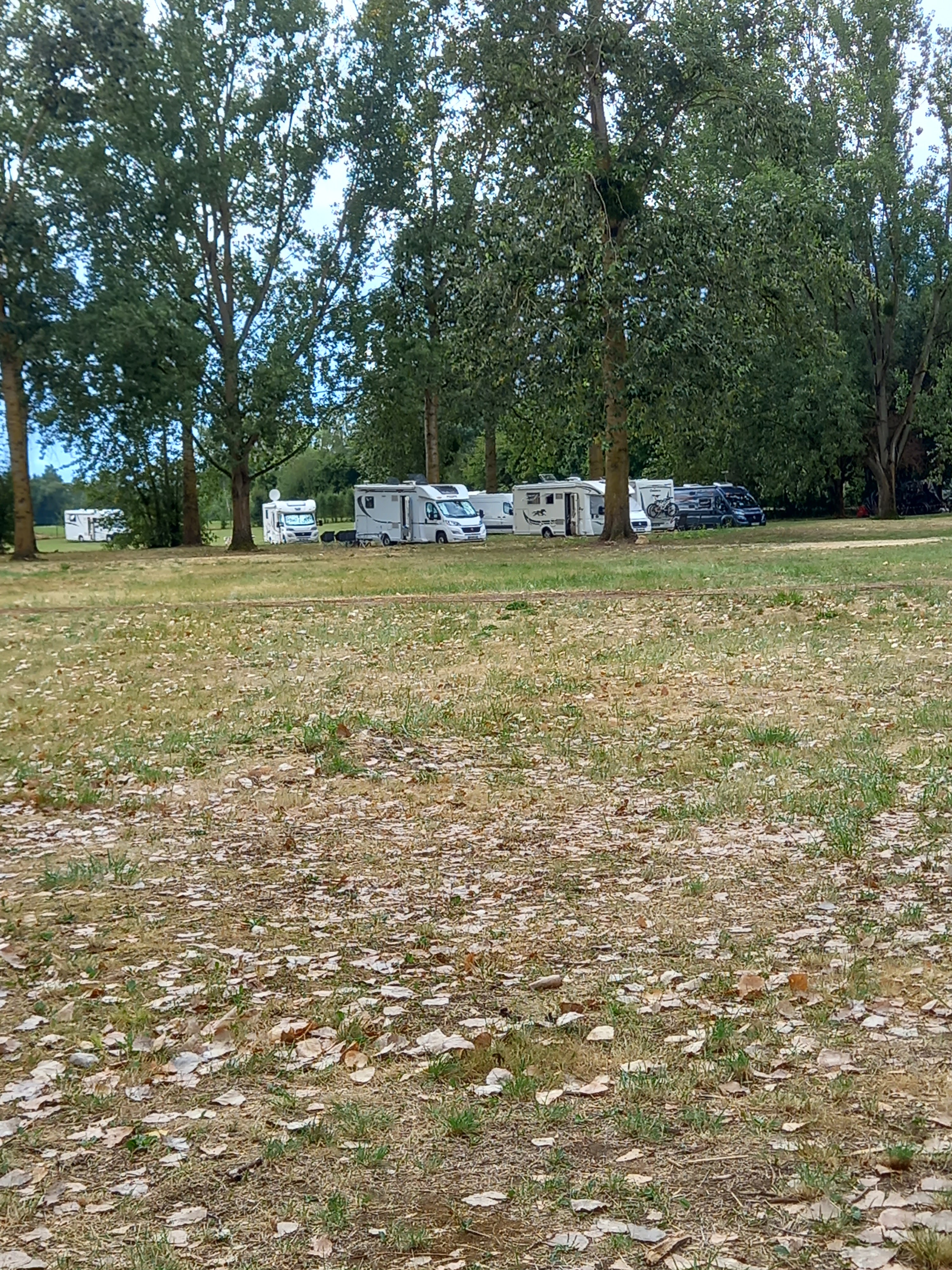 Photo n° 3 de l'avis de Patricia.r fait le 15/08/2022 à 10:29
