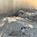 Photo n° 3 de l'avis de César.a fait le 24/07/2023 à 01:20 pour Réserve Africaine de Sigean à Sigean