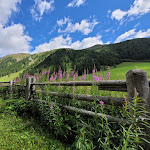 Photo n°1 de l'avis de Fabio.o fait le 06/08/2021 à 17:07 sur le  Sesvennahütte à Schlinig