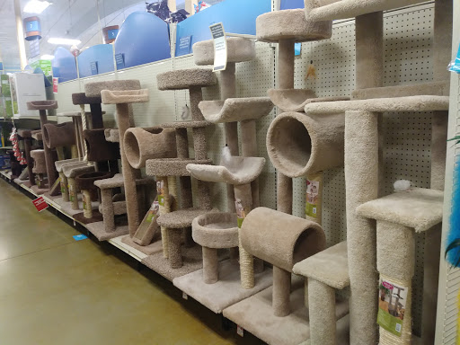Pet Supply Store «PetSmart», reviews and photos, 8204 Leesburg Pike, Vienna, VA 22182, USA