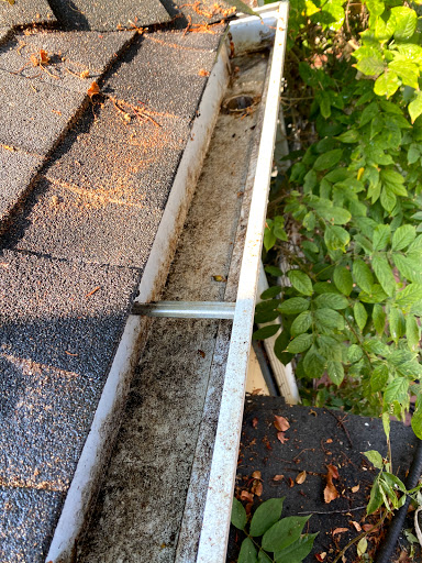 Peninsula Exterior Cleaning image