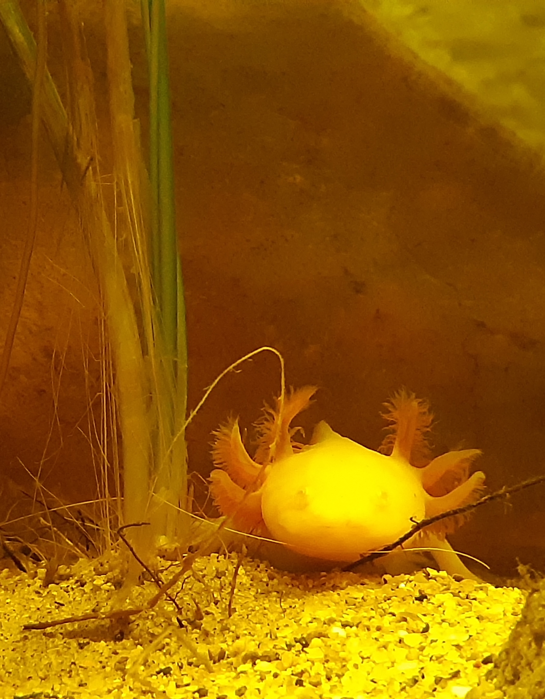 Photo n° 1 de l'avis de Carole.o fait le 25/07/2020 à 16:42