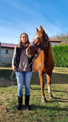 Ecole d'Equitation Romanaise à Parnans