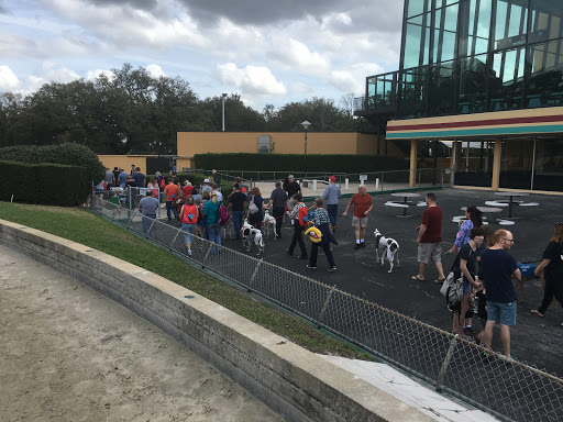 Casino «bestbet Orange Park», reviews and photos, 455 Park Ave, Orange Park, FL 32073, USA