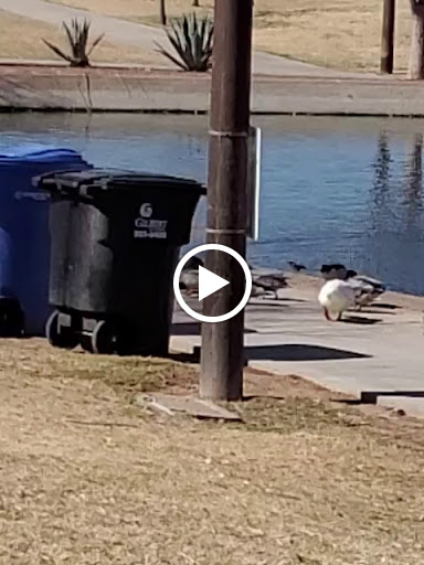 Park «Discovery Park», reviews and photos, 2214 E Pecos Rd, Gilbert, AZ 85297, USA