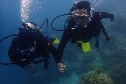 Jakarta Ocean Dive