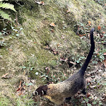 Photo n° 3 de l'avis de Kévin.u fait le 08/10/2023 à 20:27 pour Zoo de La Boissière du Doré à La Boissière-du-Doré