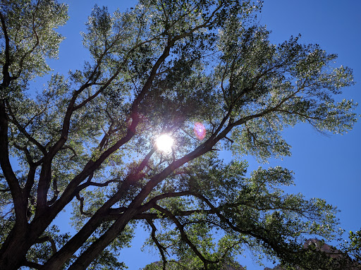 National Park «Zion National Park», reviews and photos