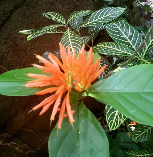 Zoo «Rainforest Pyramid», reviews and photos, 1 Hope Blvd, Galveston, TX 77554, USA