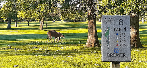 Public Golf Course «The River Golf Course, Inc.», reviews and photos, 4402 Co Rd 152, International Falls, MN 56649, USA