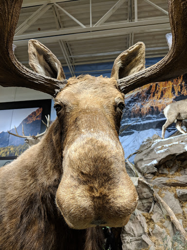 Outdoor Sports Store «Field & Stream», reviews and photos, 1501 Sentinel Dr Ste B, Chesapeake, VA 23320, USA