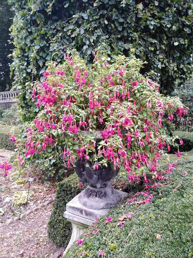 Garden «Wethersfield Farm», reviews and photos, 88 Wethersfield Way, Amenia, NY 12501, USA